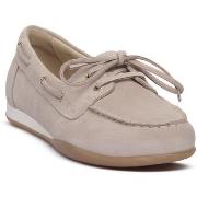 Kengät NeroGiardini  NERO GIARDINI 677 VELOUR FEMME  38