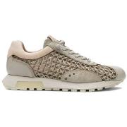 Kengät Hispanitas  RHV264741ALGA  37