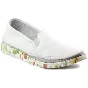 Kengät Maciejka  0351211000  37