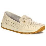 Kengät Artiker  56C1852  37