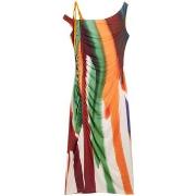 Pitkä mekko Desigual  VEST_PAINT_LACROIX 26SWVK17  EU S