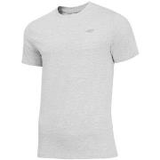 Lyhythihainen t-paita 4F  TSM003  EU XXL