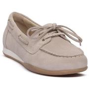 Kengät NeroGiardini  615042677  38