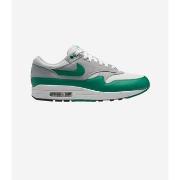 Kengät Nike  Air Max 1 Evergreen Aura  40