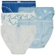 Pikkuhousut Petit Bateau  5 CULOTTES  6 vuotta