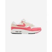 Kengät Nike  Air Max 1 Aster Pink (Women's)  44 1/2