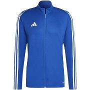Svetari adidas  Tiro 23 League Training  EU XXL