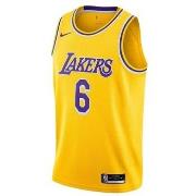 Lyhythihainen t-paita Nike  Nba Los Angeles Lakers Lebron James Swingm...