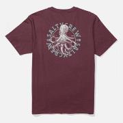 Lyhythihainen t-paita Salty Crew  Tentacles premium s/s tee  EU S