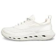 Kengät Ecco  85030357019  37