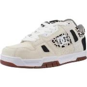 Kengät DC Shoes  STAG  43