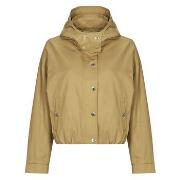 Pusakka Morgan  GCAMIS  DE 32