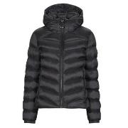 Toppatakki Superdry  HOODED FUJI PADDED JACKET  EU L