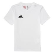 Lyhythihainen t-paita adidas  ENT22 TEE Y  11 / 12 vuotta