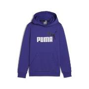 Svetari Puma  ESS+ 2 COL BIG LOGO HOODIE FL  3 vuotta