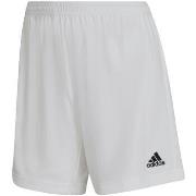Shortsit & Bermuda-shortsit adidas  Entrada 22  EU S