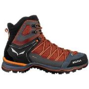 Kengät Salewa  Mountain Lite Goretex  42