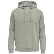 Svetari hummel  Sweat à capuche  Classic gris chiné  EU M