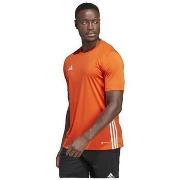 Lyhythihainen t-paita adidas  T-shirt  Tabela 23 orange  EU S