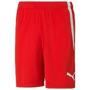 Shortsit & Bermuda-shortsit Puma  Shorts  TeamLiga Performance Rouge  ...