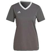Lyhythihainen t-paita adidas  T-shirt  Entrada 22 pour femme  EU S