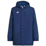 Toppatakki adidas  Doudoune  Entrada 22 Stadium  EU M