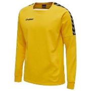 Svetari hummel  Sweat  Authentic Training Jaune  EU S