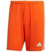 Shortsit & Bermuda-shortsit adidas  Squadra 21  EU XL
