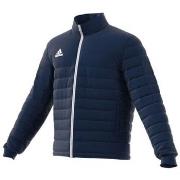 Takit adidas  Entrada 22  EU 3XL