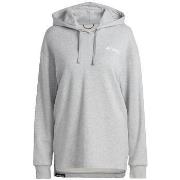 Ulkoilutakki adidas  Sweat-shirt à capuche  Terrex gris  EU L