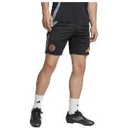 Shortsit & Bermuda-shortsit adidas  Short  FC Bayern Tiro 24  EU L