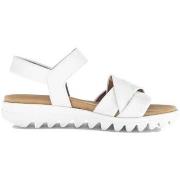 Sandaalit Gabor  84.812.21  36