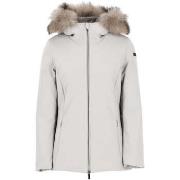 Pusakka Roberto Ricci Designs  -  IT 44