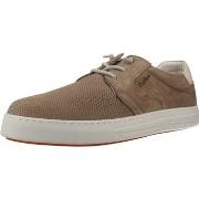 Kengät Fluchos  Informales Hombre Modèle 2366f  40