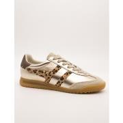 Kengät Gola  CLB856YZ2  37