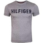 Lyhythihainen t-paita Tommy Hilfiger  UM0UM02011PG5  EU M