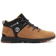 Kengät Timberland  1A2QZE231  43