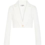 Bleiseri Morgan  231-VESPA.F  FR 34