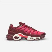 Kengät Nike  Air Max Plus Burgundy Crush (Women's)  38