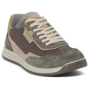 Kengät IgI&CO  1117111  41