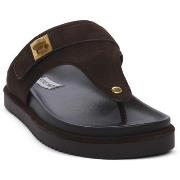 Rantasandaalit Steve Madden  CHOCO TUNED  38