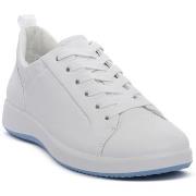 Kengät Ara  WEISS CERVOCALF  38