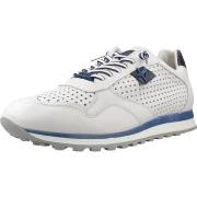 Kengät Cetti  Sport   Zapatillas Hombre Modèle C848 V26  41