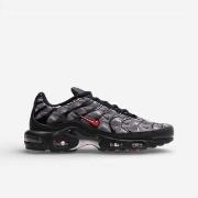 Kengät Nike  Air Max Plus Topography Pack  47