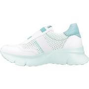 Kengät Hispanitas  CERVO-V24  37