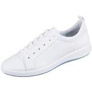 Kengät Ara  Roma Weiss Cervocalf  38