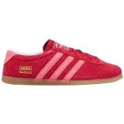 Kengät adidas  Gazelle Lo Pro W IH6944  38