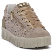 Kengät IgI&CO  ARES BIANCO  36