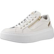 Kengät NeroGiardini  E513081D  40