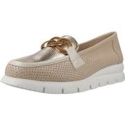 Kengät 24 Hrs  Zapatos Confort Mujer Modèle 26723  36